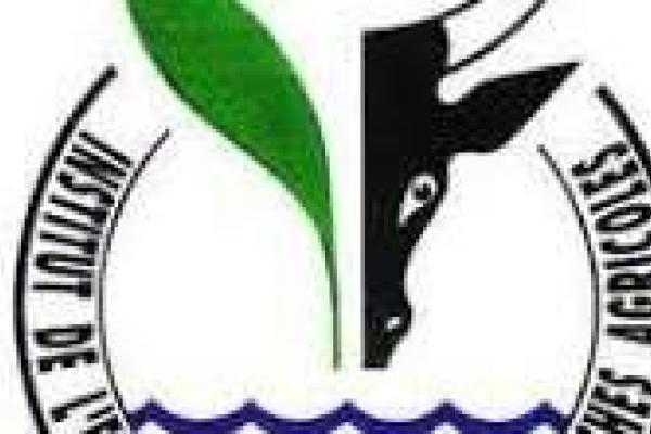 Institut de l’Environnement et de Recherches Agricoles (INERA) logo